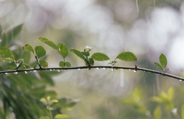 23年雨情水位監測--雷達式流速流量水位雨量監測站的優勢