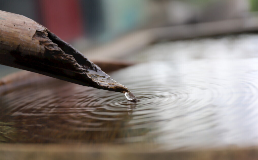 水質(zhì)生物毒性測定儀對于水質(zhì)安全的意義